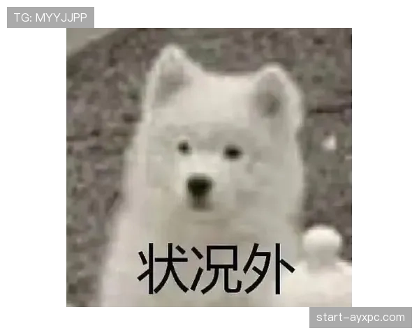 王昶随手买的那双鞋等于我三个月房租,刷到我一脸懵 王昶随手买的那双鞋等于我三个月房租,刷到我一脸懵