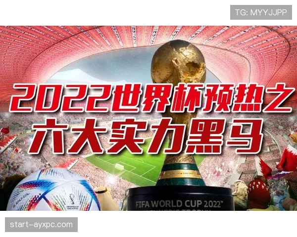 2026世界杯J组出线预测热门与黑马分析